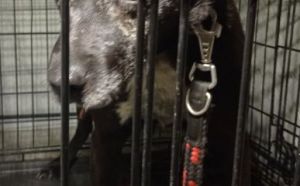 3.09.2025 r. Foltyn S