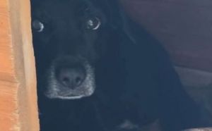 3.09.2025 r. Ofiar Firleja S