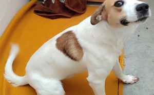 3.09.2025 r. Ofiar Firleja S.