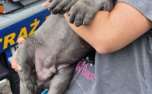 3.09.2025 r. Sportowa S