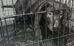 30.01.2026 r. Marii Gajl S