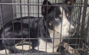 30.08.2025 r. Bieszczadzka S