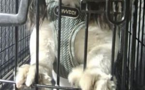 30.08.2025 r. Maratonska S