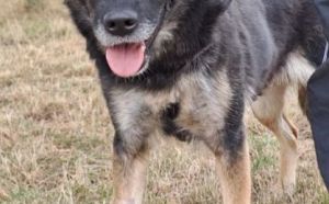 30.08.2025 r. Rataja S