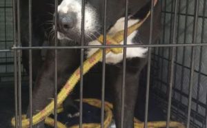 31.08.2025 r. 25 Czerwca S