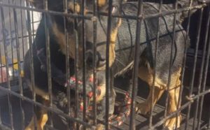 4.03.2026 r. Slowackiego S