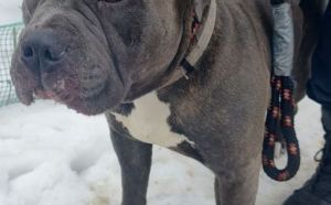 6.02.2026 r. Radomskiego S