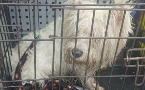 6.02.2026 r. Staszica S