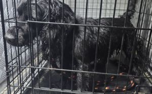 6.10.2025 r. Mierzejewskiego S