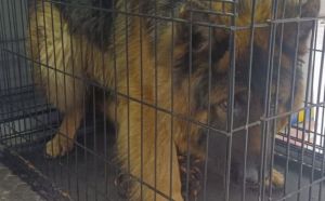 8.02.2026 r. Ogrodnicza S