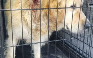 8.09.2025 r. Kedzierskiego L