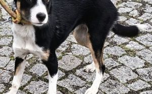 9.11.2025  r. Piotrowka S