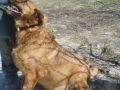 Dusia2-011200580