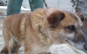 Krusia-011200567